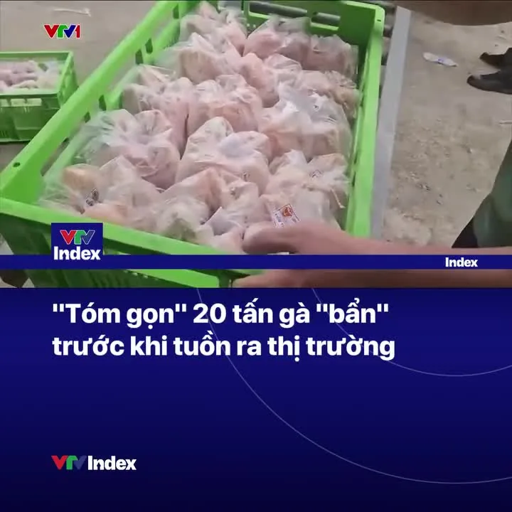 Preview for Video 1431476