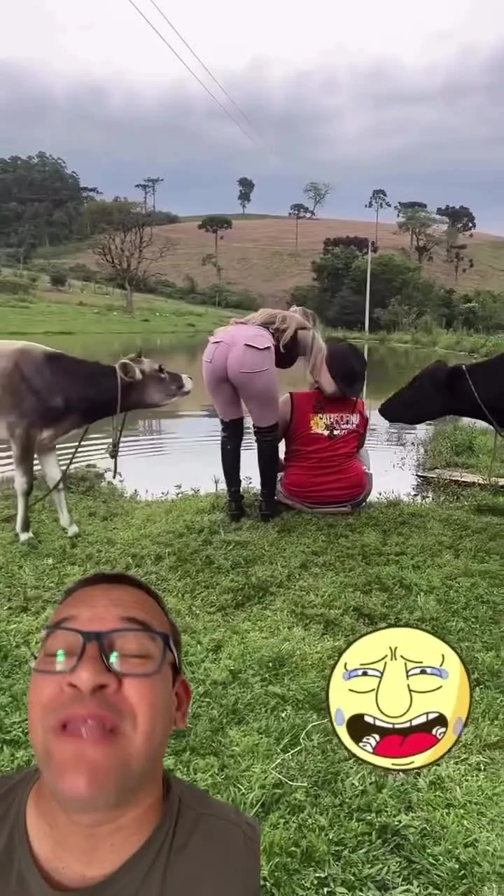 Preview for Video 1365336