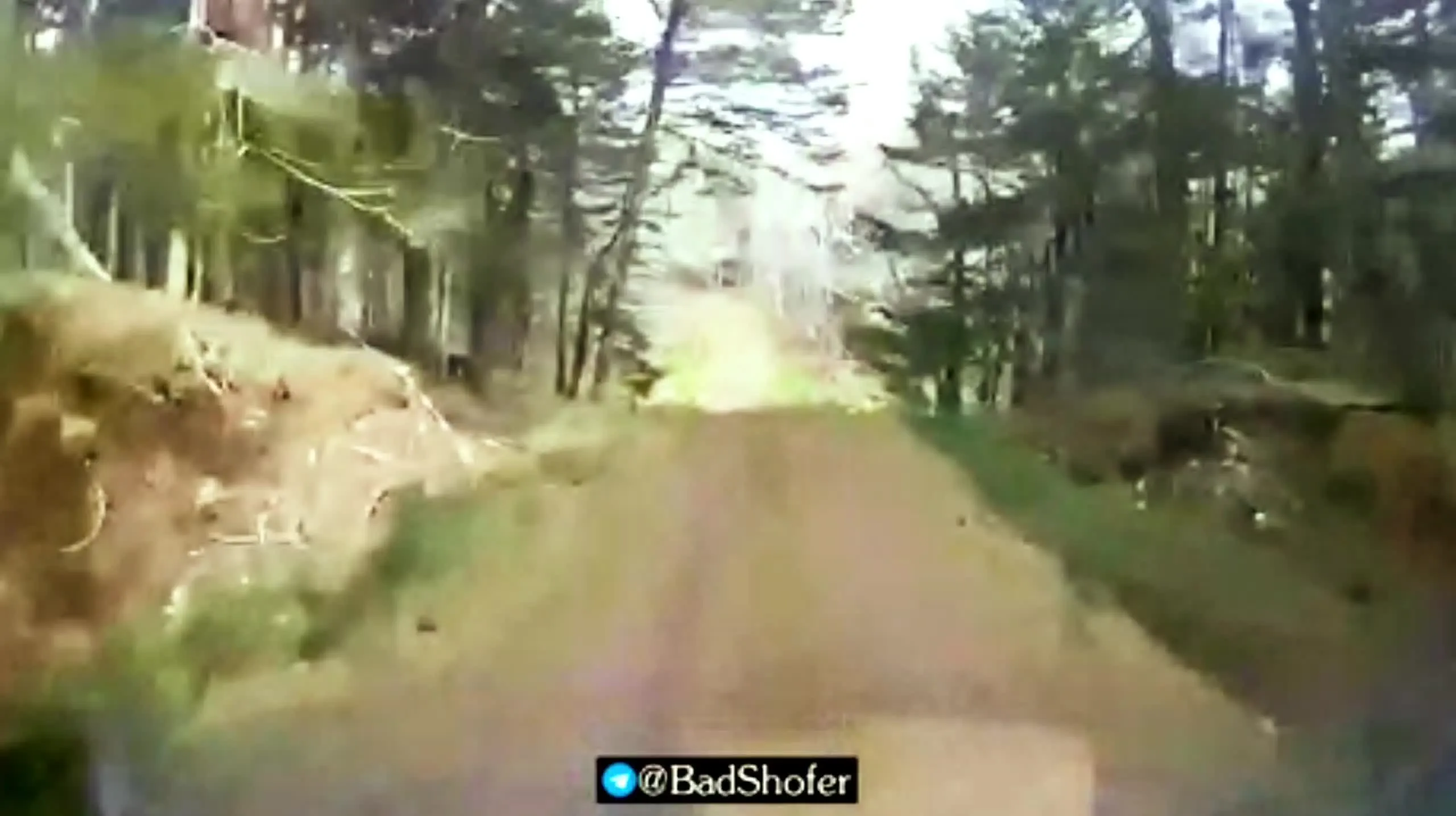 Preview for Gấu tấn công bảo vệ con ở Hokkaido,Nhật Bản