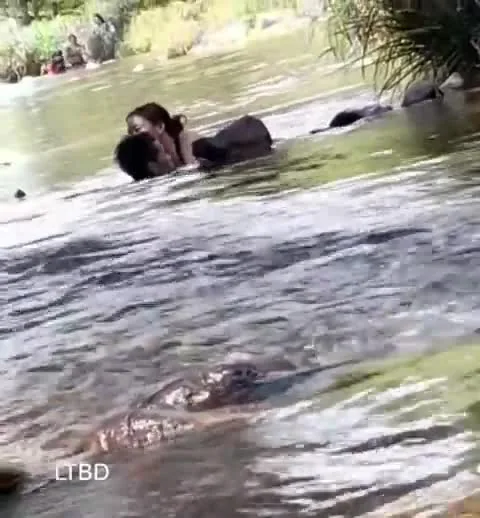 Preview for 95282595