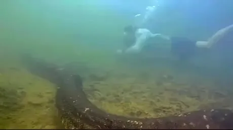 Preview for 1000001838