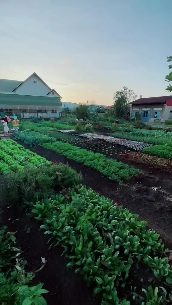 Preview for Video tiktok 58105548