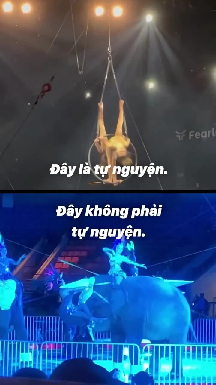 Preview for Rạp xiếc phải là nơi thể hiện kỹ năng chứ không phải sự tàn ác