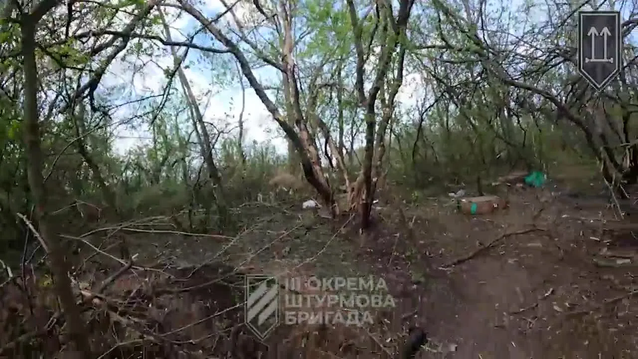 Preview for ✙ Albina Fella ✙ 🇺🇦🇬🇧🇫🇷🇩🇪🇵🇱🇺🇸🇨🇦🇦🇺 on X- 'Repelling the russian assault- more than 100 destroyed invaders! This is an excerpt from the battles in Terny, Donetsk region, where the defenders managed to stab