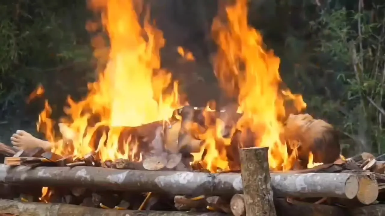 Preview for CÁT BỤI CUỘC ĐỜI
