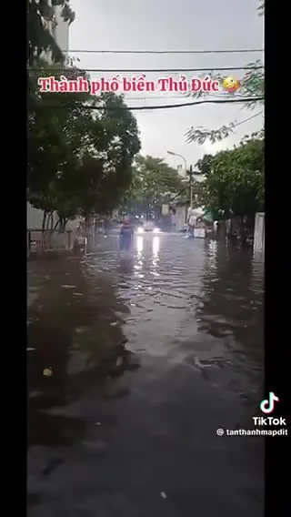 Preview for 21733933