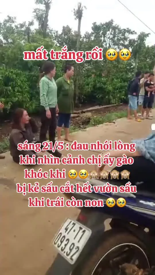 Preview for 76367849