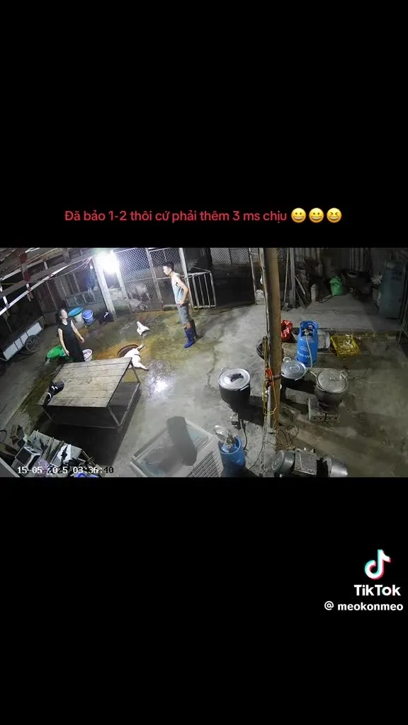 Preview for Video 1486680