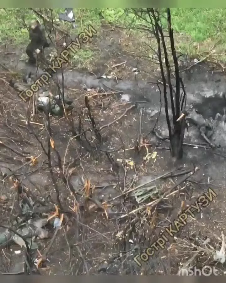 Preview for Cloooud 🇺🇦 on X 'Don't even ask what's going on there😁 It's just a normal situation an orc walking h