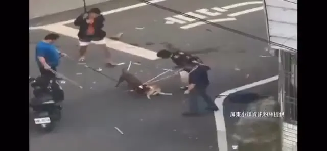 Preview for video 2025 04 18 11 34 24