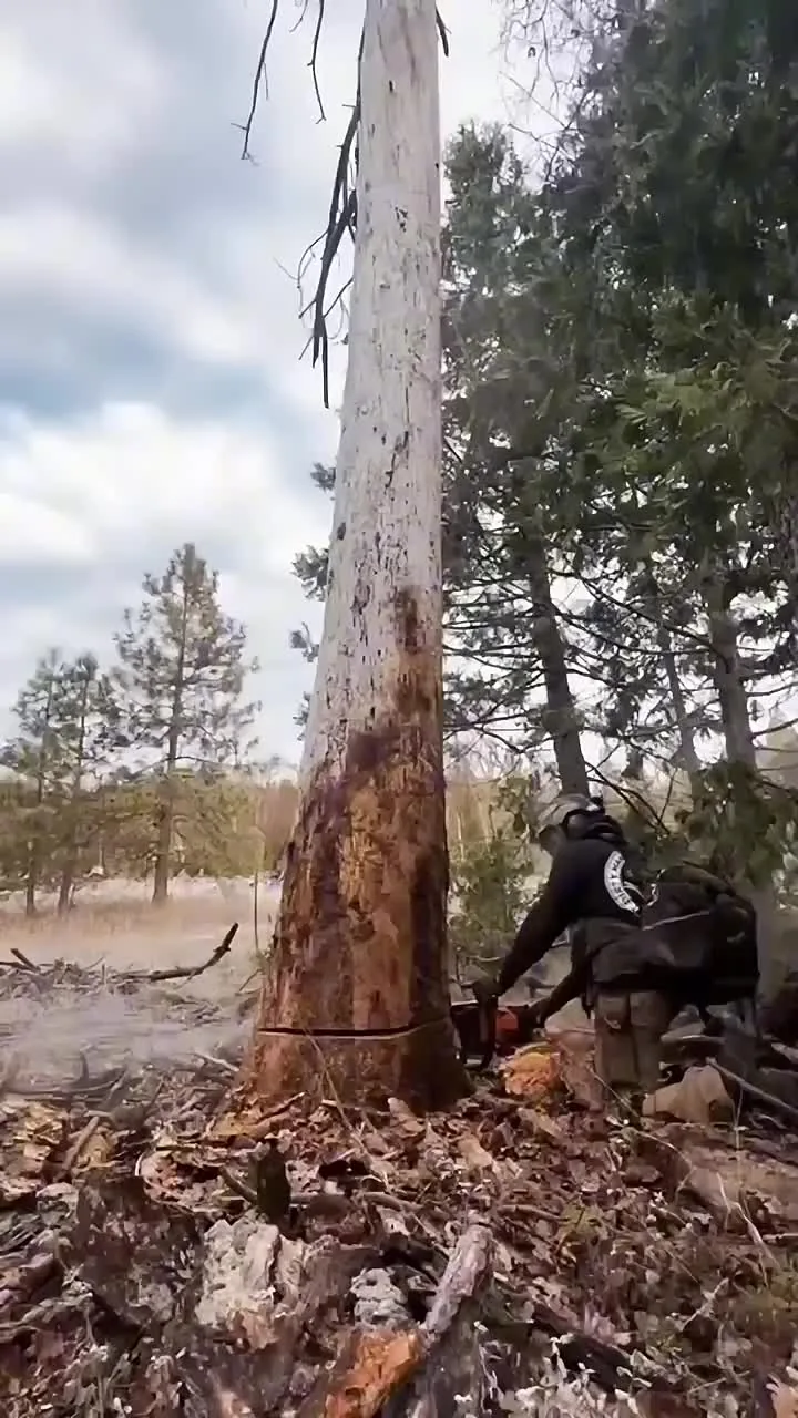 Preview for Video 1457022