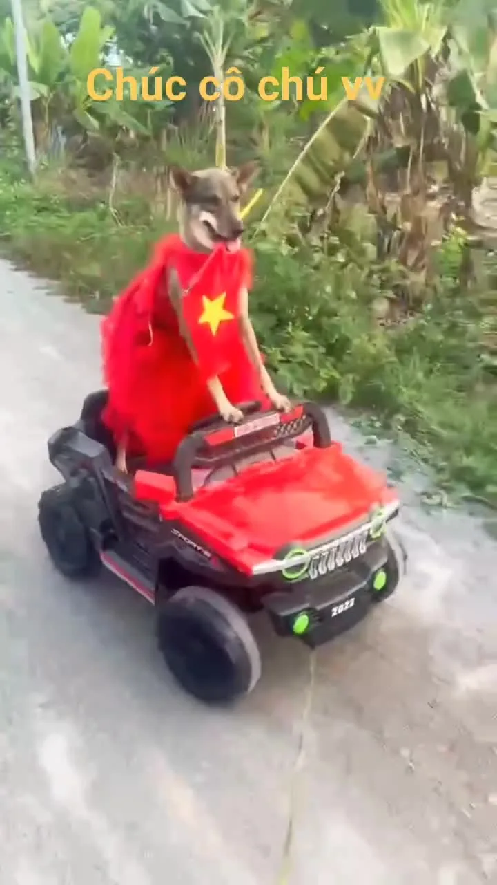 Preview for Video 1443687