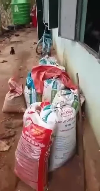 Preview for video 2025 04 01 16 27 13