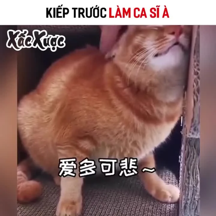 Preview for Nhìn đi đâu thế bro Nhìn đi đâu thế bro Xacxuoc By Xấc Xược Facebook