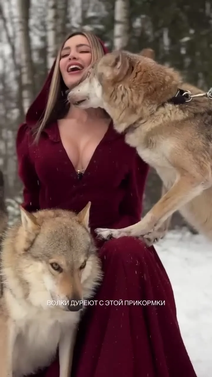 Preview for Video 1392986