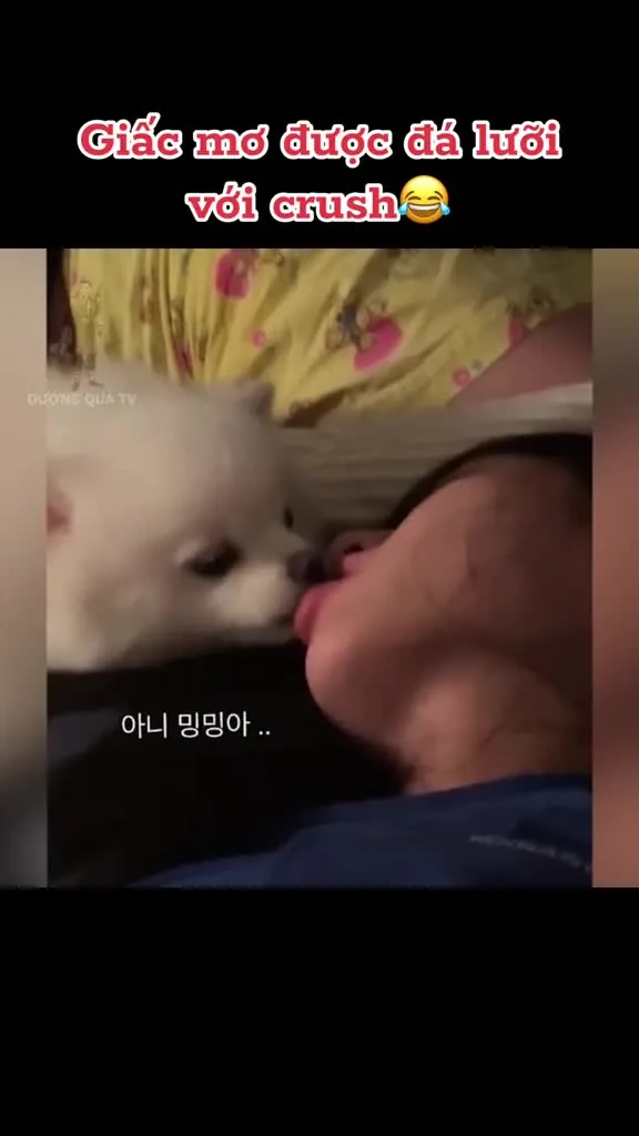 Preview for IMG 3123