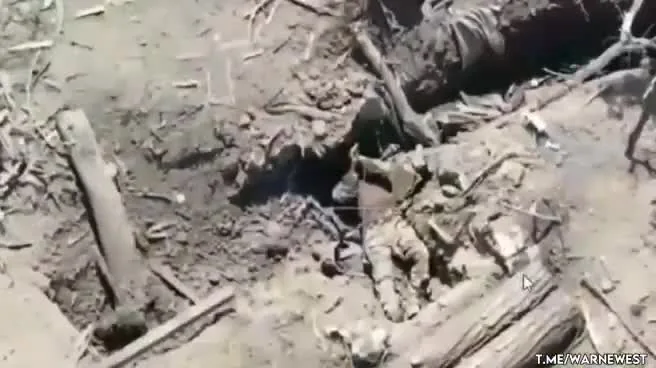 Preview for 246933324