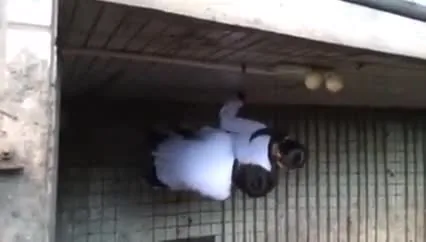 Preview for  1671425691091 1720111100840