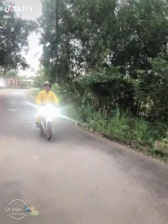 Preview for IMG 4984