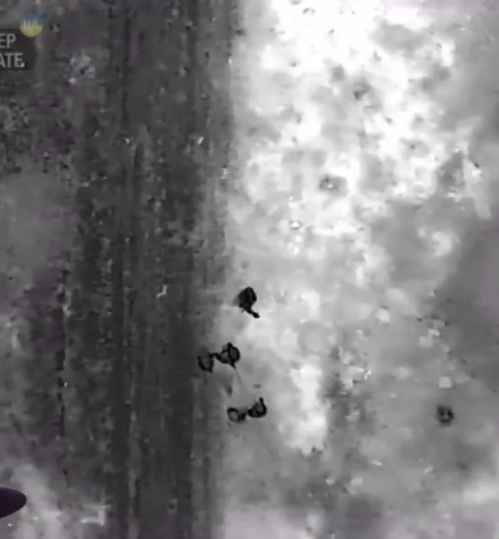 Preview for 25932453