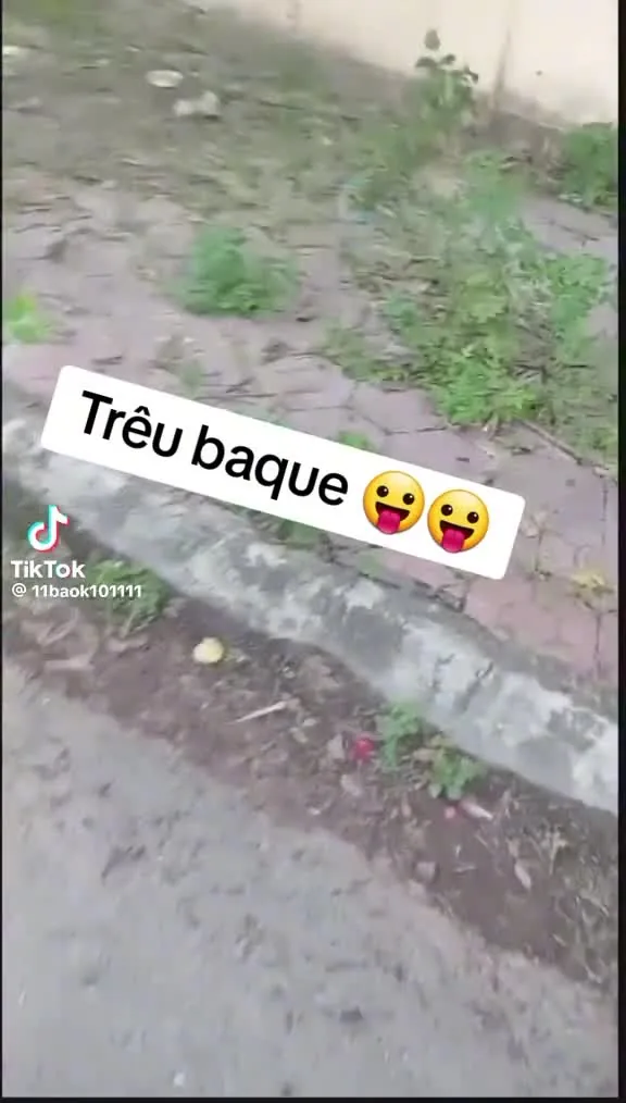 Preview for 20134198