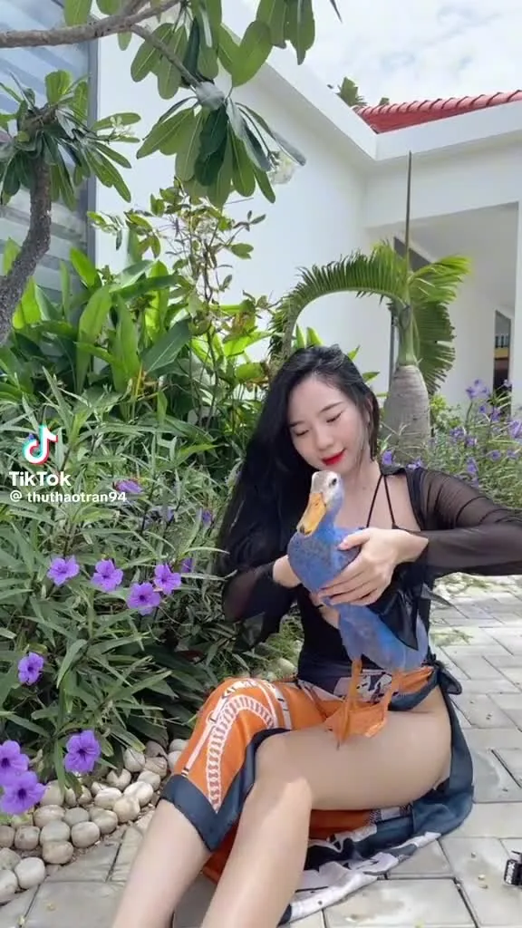 Preview for IMG 3559