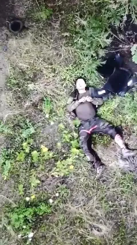 Preview for TOGA on X 'A wave of self destruction on the front in the Russian army https t.co ytNIDCb9ho' X