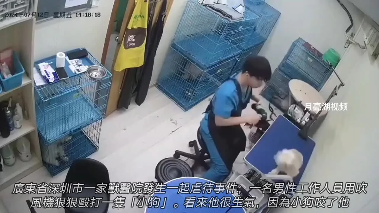 Preview for  20240721 134613751