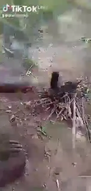 Preview for  5289918818248732723