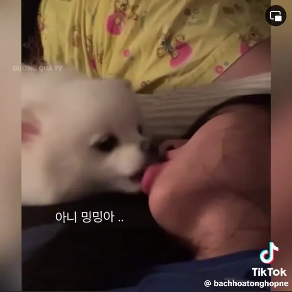 Preview for Video 1476784