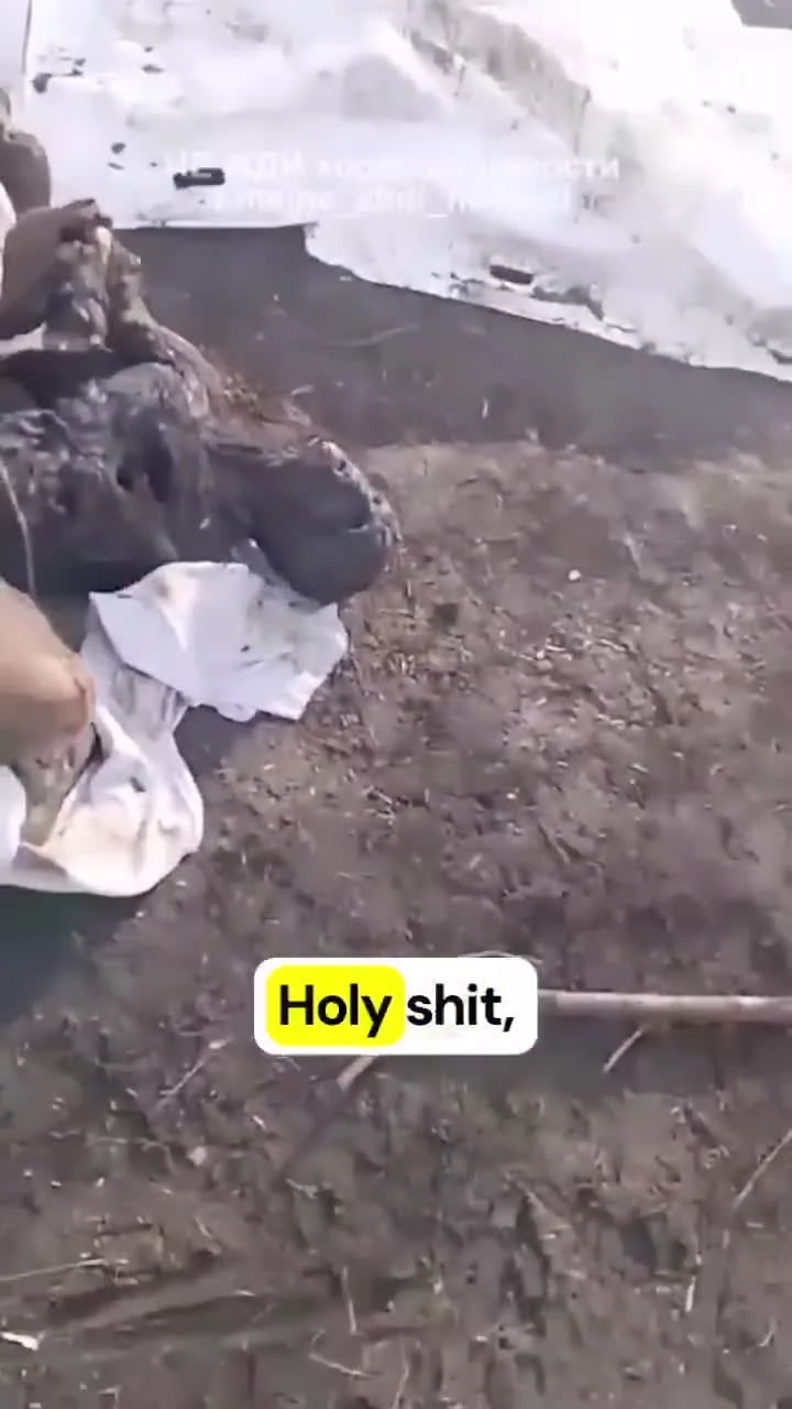 Preview for c0mmand0 on X  Clip của các đồng chí Nga tự quay 56 đồng chí Nga phơi xác ở Donbas. Không có túi