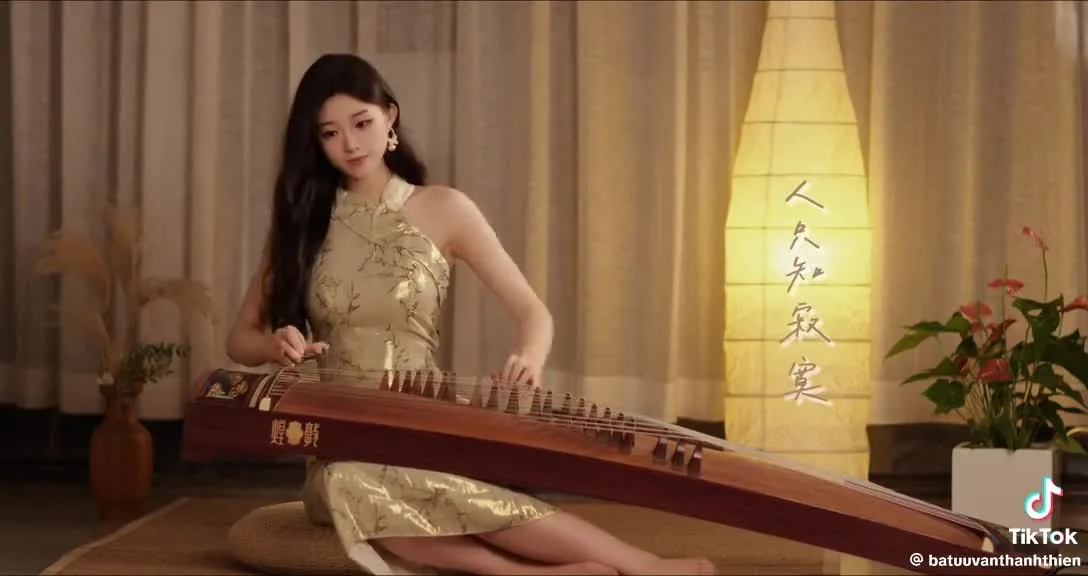 Preview for Video 1442381