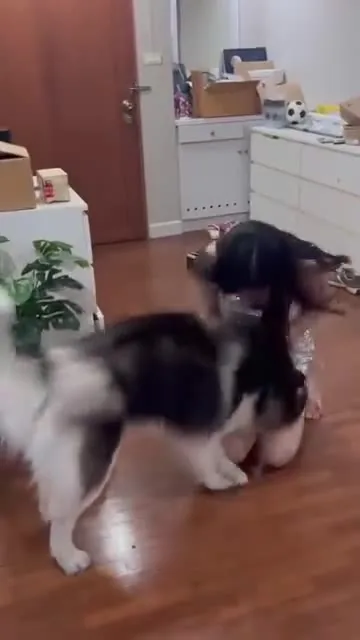 Preview for Video 1493511