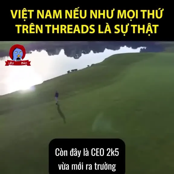 Preview for Video 1508993