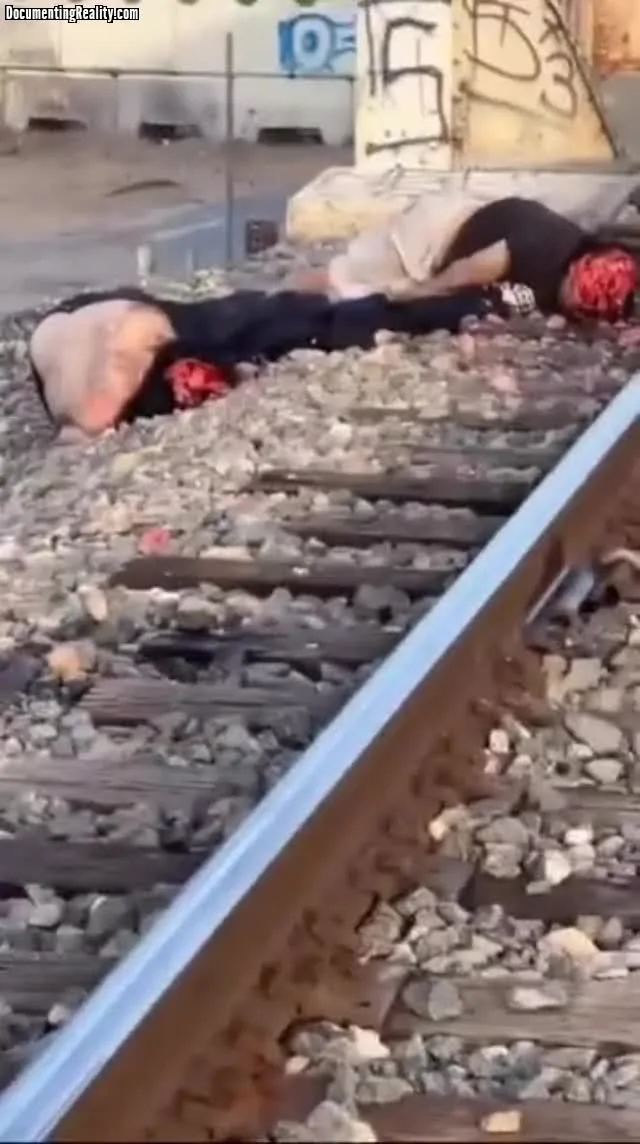 Preview for Video 1312463