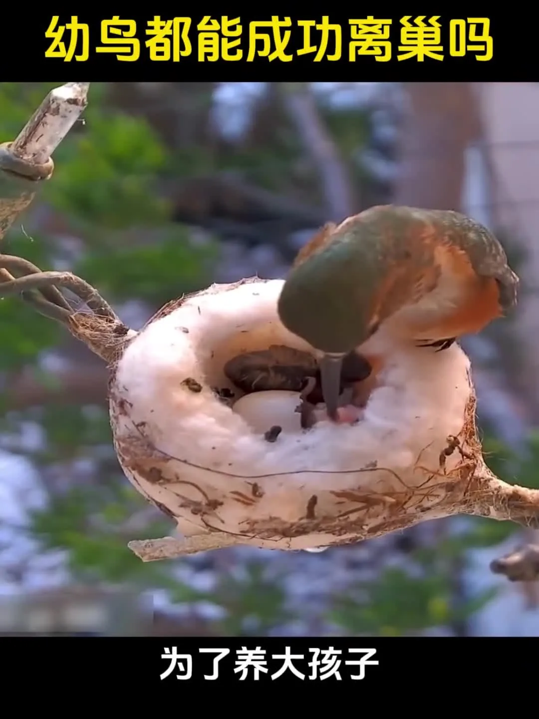 Preview for Video 1406976