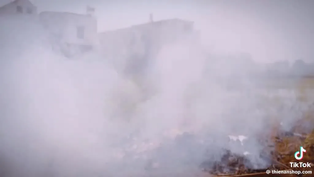 Preview for Video 1456997