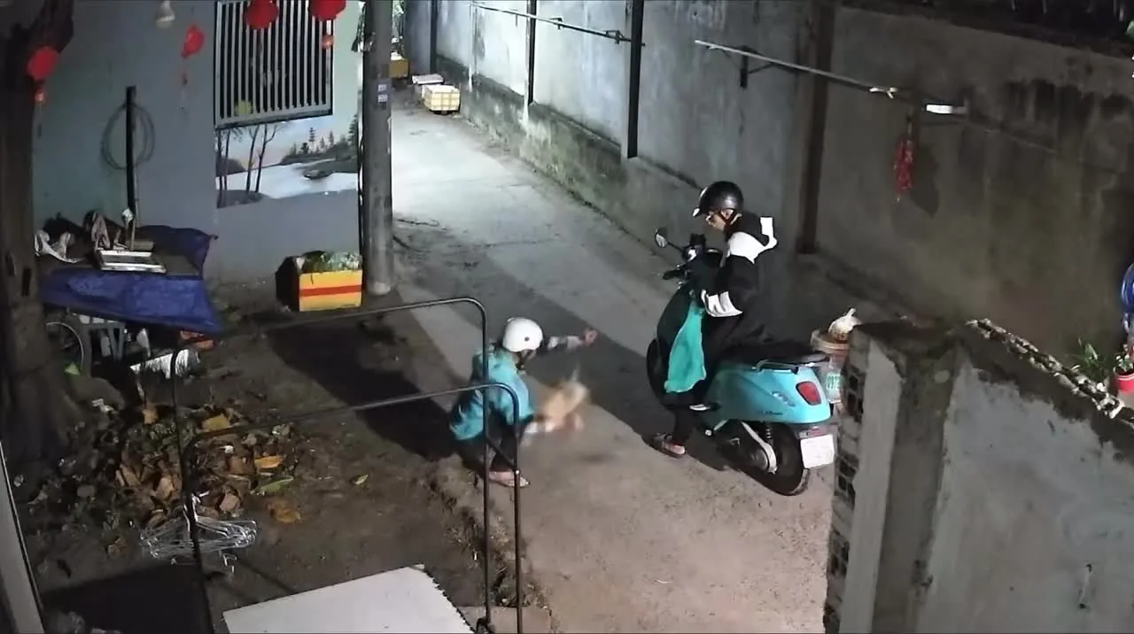 Preview for Video 1464178